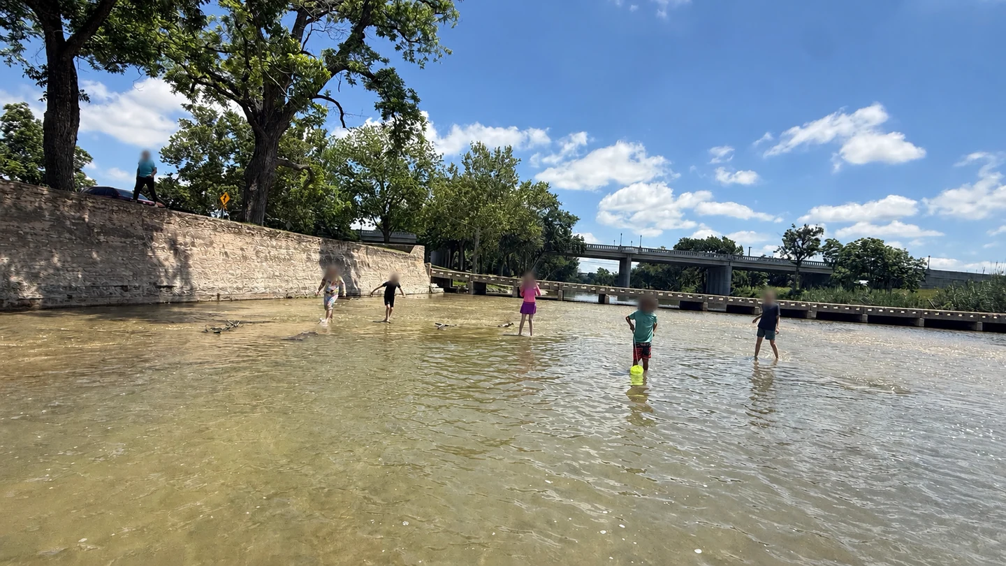 Children exploring together in a shallow creek on a bright day
